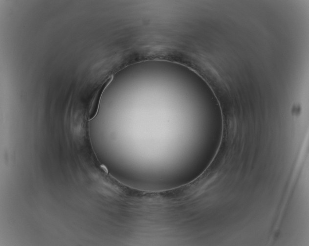 X0000092311250200709281339