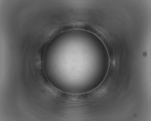 X0000092311252200709281339