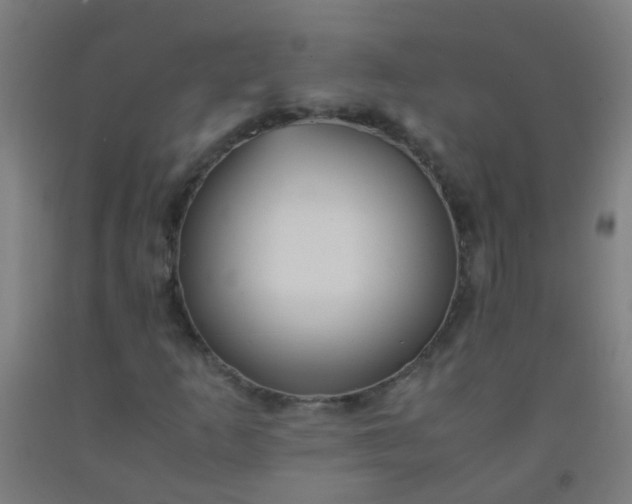 X0000092311253200709281339