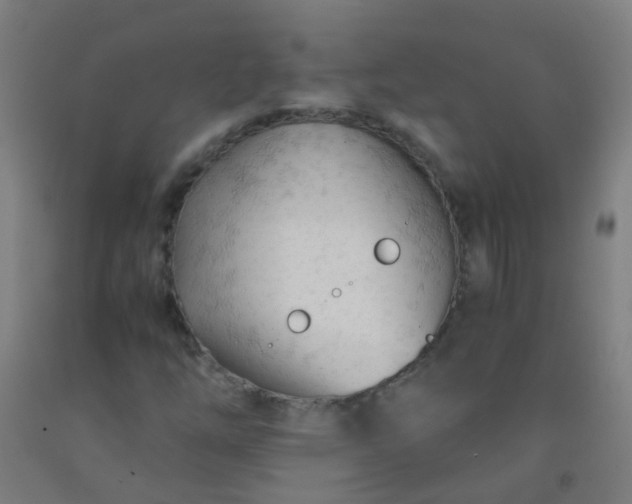 X0000092311254200709281339