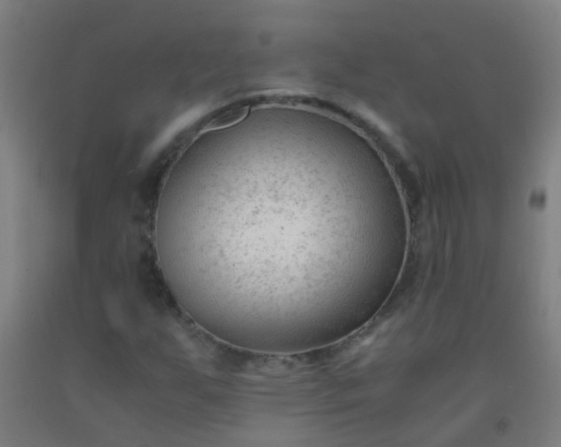 X0000092311255200709281339