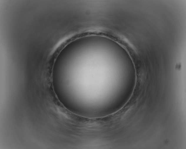 X0000092311256200709281339