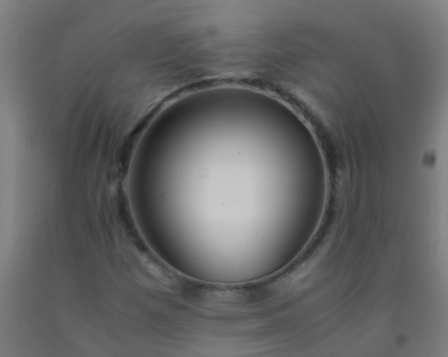 X0000092311257200709281339