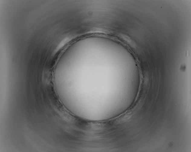 X0000092311258200709281339