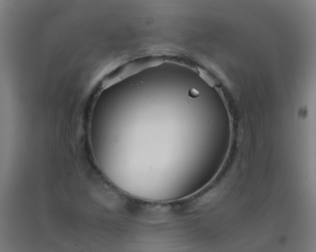 X0000092311261200709281339