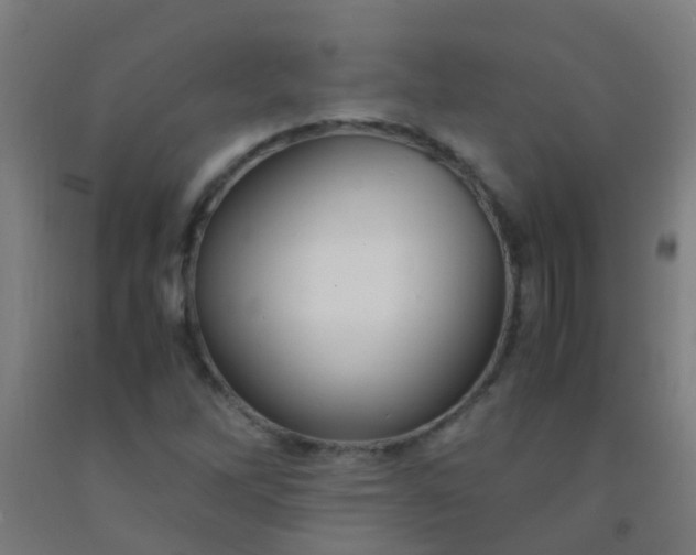 X0000092311262200709281339