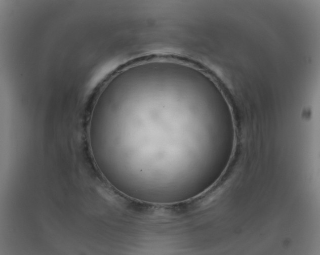 X0000092311263200709281339