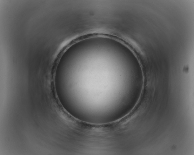 X0000092311264200709281339