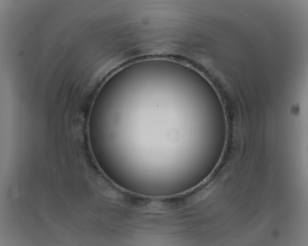 X0000092311265200709281339