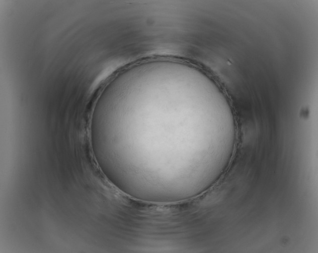 X0000092311266200709281339