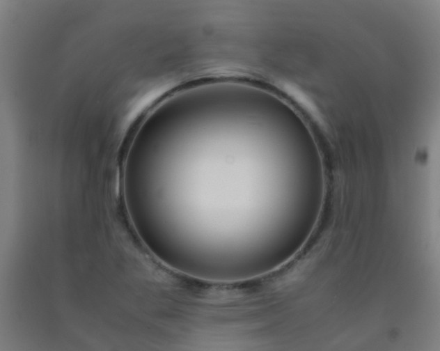 X0000092311269200709281339