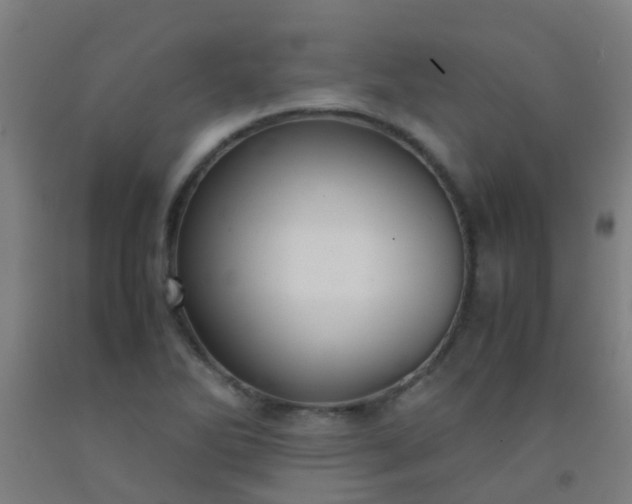 X0000092311270200709281339