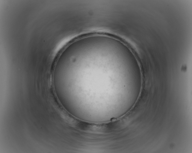 X0000092311271200709281339