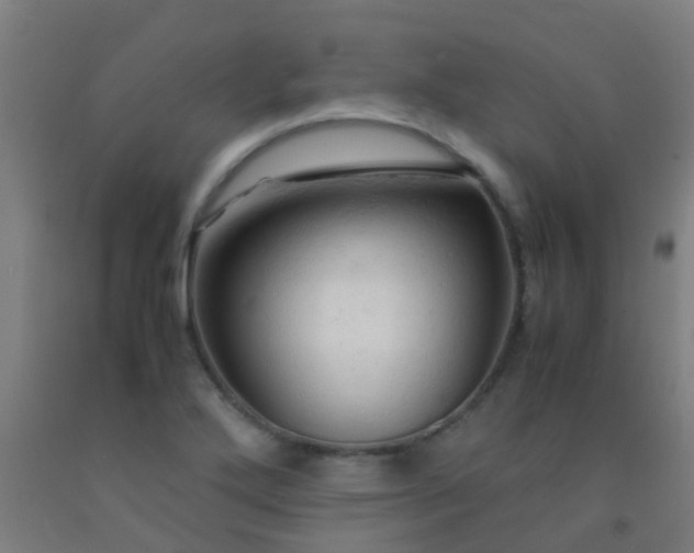 X0000092311272200709281339