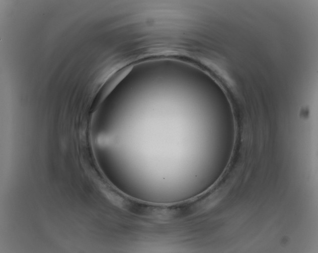 X0000092311273200709281339