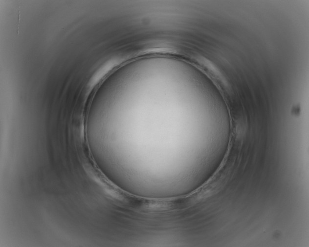 X0000092311274200709281339