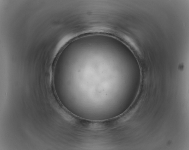 X0000092311275200709281339