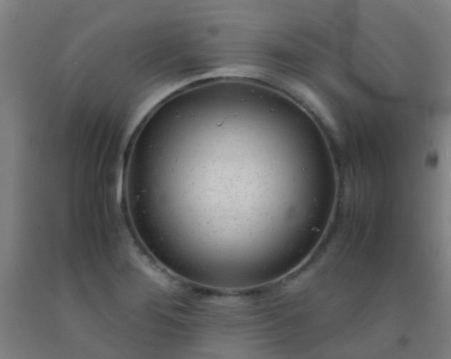 X0000092311276200709281339