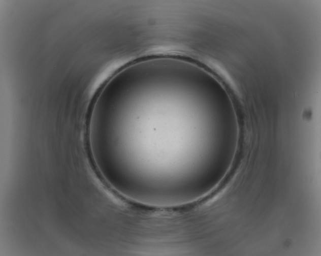 X0000092311277200709281339