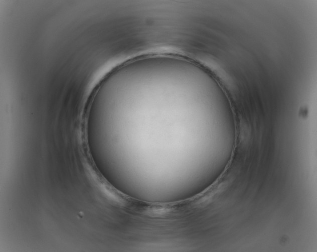 X0000092311278200709281339