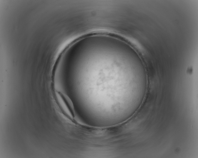 X0000092311279200709281339