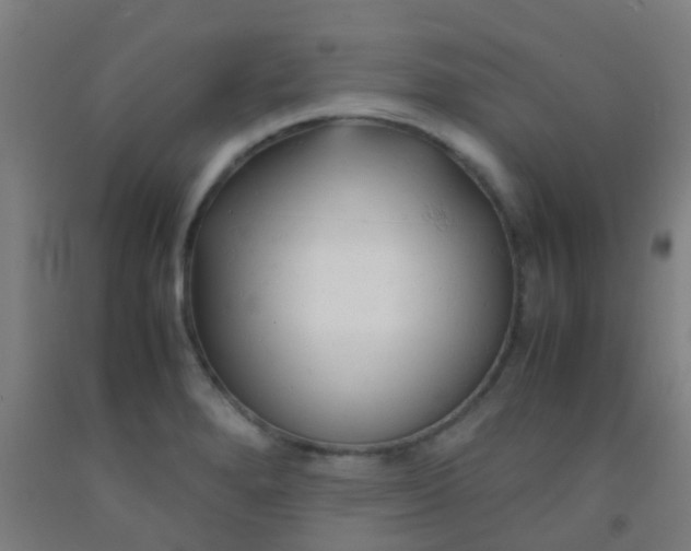 X0000092311280200709281339