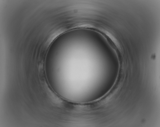 X0000092311281200709281339