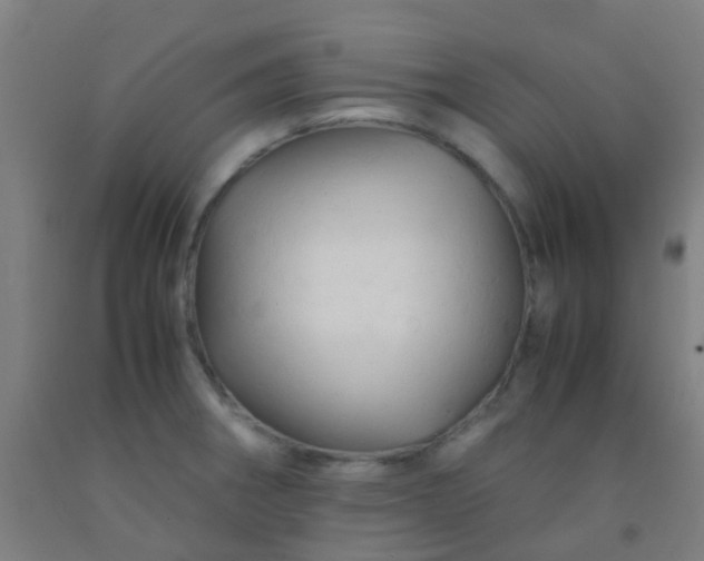 X0000092311282200709281339