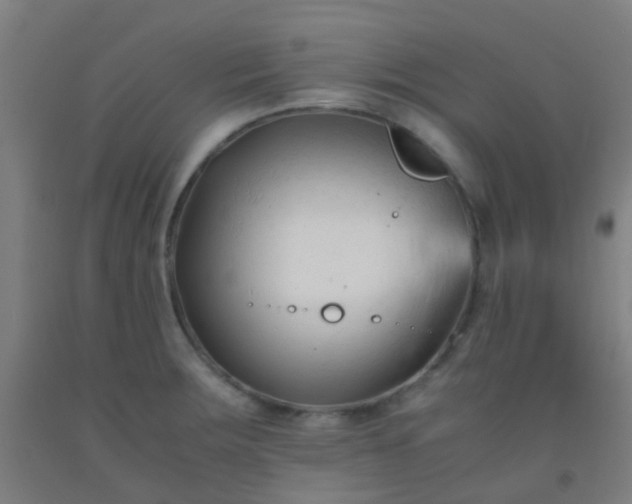 X0000092311283200709281339