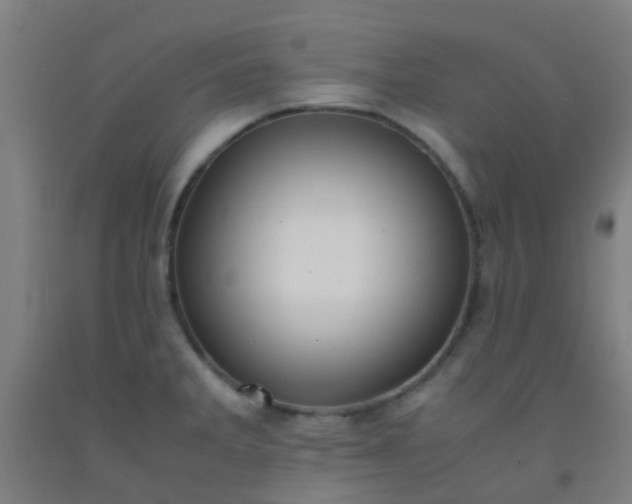 X0000092311285200709281339