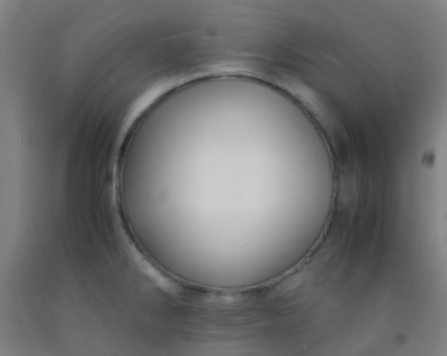X0000092311286200709281339