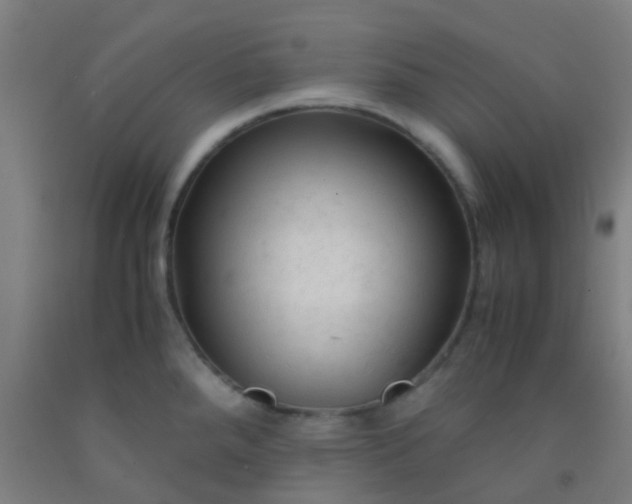 X0000092311288200709281339