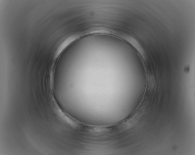 X0000092311290200709281339