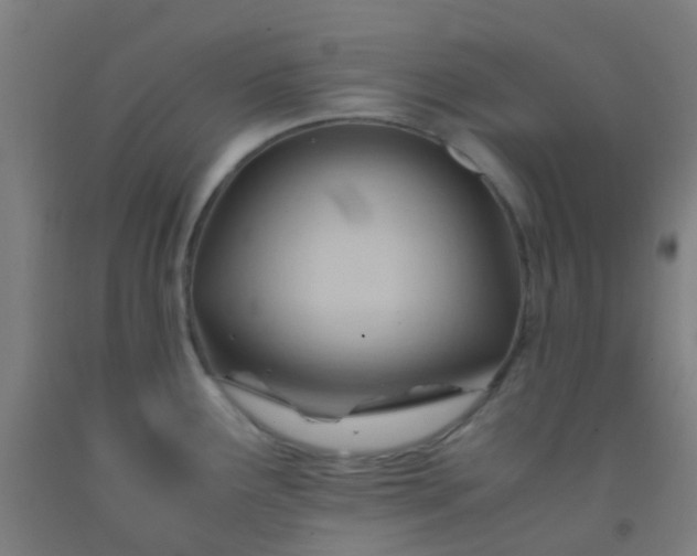 X0000092311291200709281339