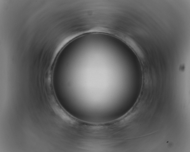 X0000092311292200709281339