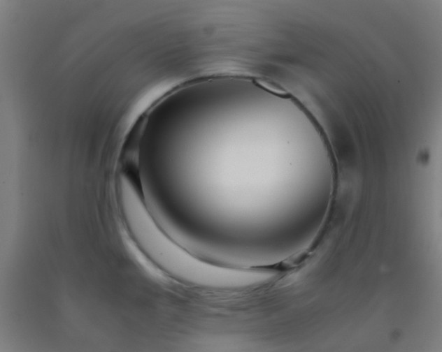 X0000092311293200709281339