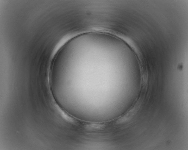 X0000092311294200709281339