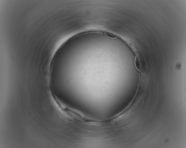 X0000092311295200709281339