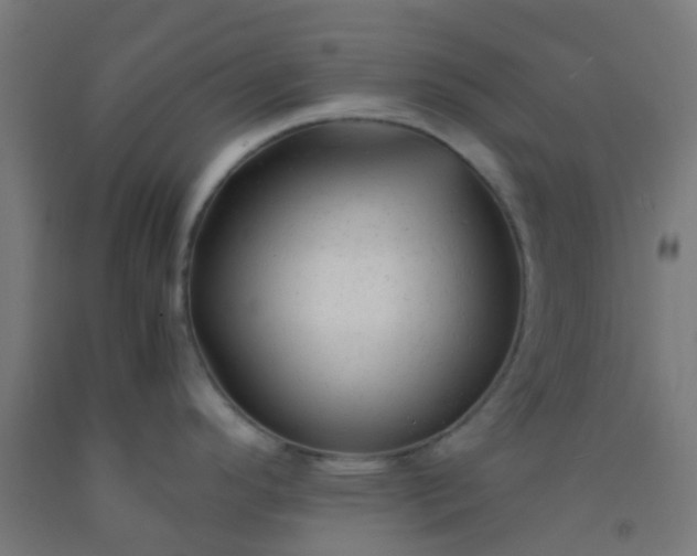 X0000092311296200709281339