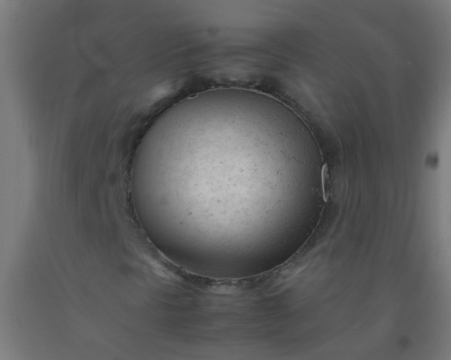 X0000092311297200709281338