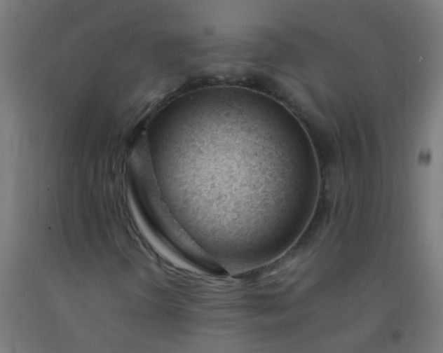 X0000092311298200709281338