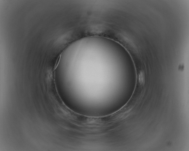 X0000092311299200709281338