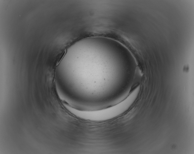 X0000092311300200709281338