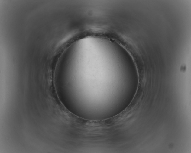 X0000092311301200709281338