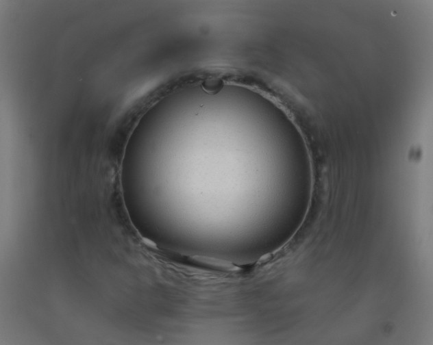 X0000092311302200709281338
