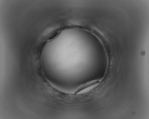X0000092311303200709281338