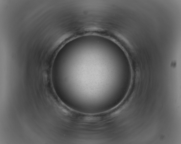 X0000092311305200709281338