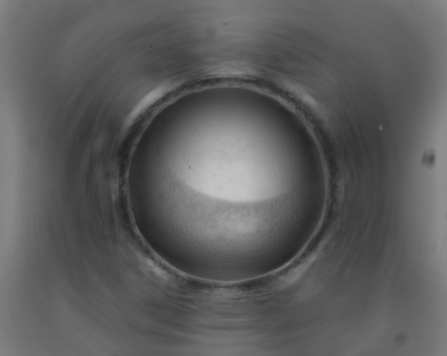 X0000092311306200709281338