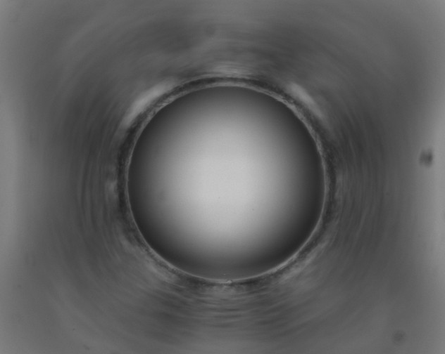X0000092311307200709281338