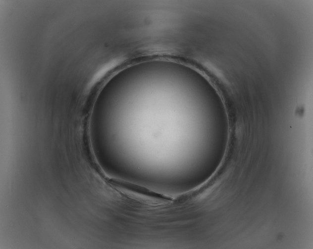 X0000092311309200709281338